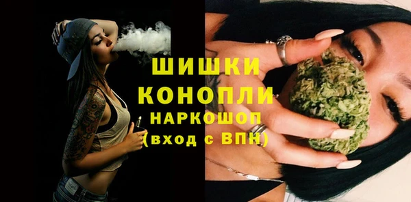 дживик Богородицк