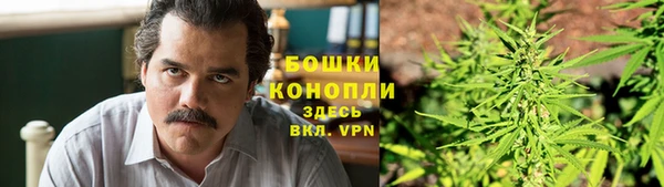 дурь Бородино