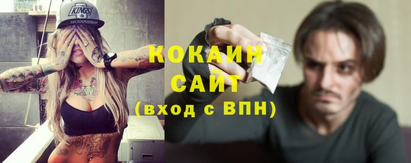 дурь Бородино