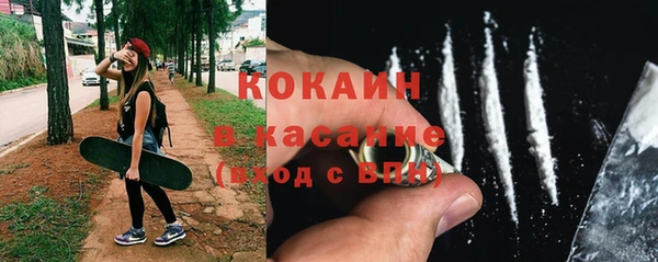 дживик Богородицк