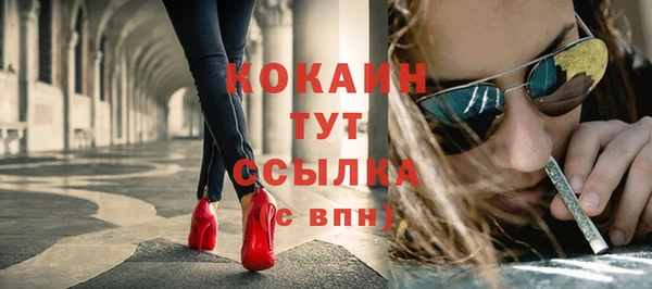 гашиш Богданович